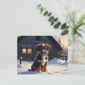 Carte Postale Chien Série 6 09 ポストカード (スタンド正面)