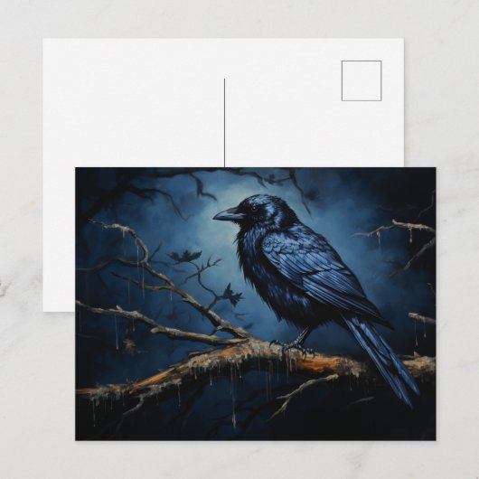 Carte postale Ethereal Feathers ポストカード (正面/裏面)