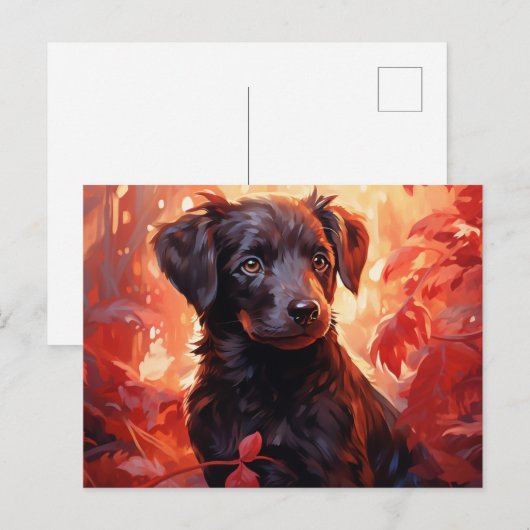 Carte Postale Feu Fleuri ポストカード (正面/裏面)