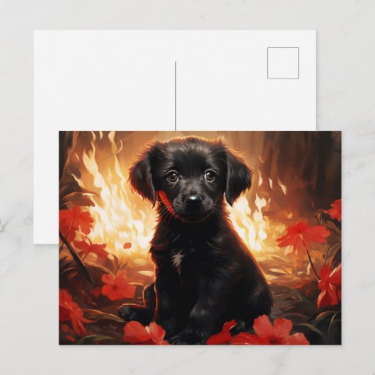 Carte Postale Flamme et Pétales ポストカード (正面/裏面)