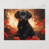 Carte Postale Flamme et Pétales ポストカード (正面)