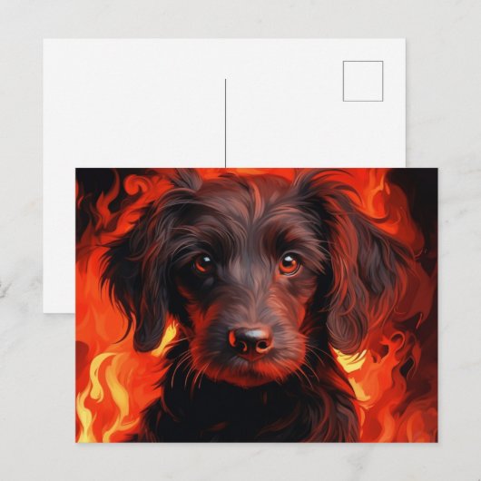 Carte Postale Fleur enflammée ポストカード (正面/裏面)