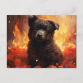 Carte Postale Fleur Sauvage en Feu ポストカード (正面)