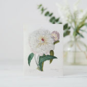 Carte Postale Fleurs 10 ポストカード (スタンド正面)