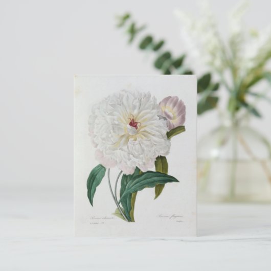 Carte Postale Fleurs 10 ポストカード (スタンド正面)