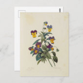 Carte Postale Fleurs 13 ポストカード (正面/裏面)