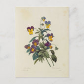 Carte Postale Fleurs 13 ポストカード (正面)