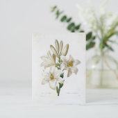 Carte Postale Fleurs 14 ポストカード (スタンド正面)