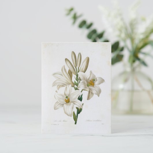 Carte Postale Fleurs 14 ポストカード (スタンド正面)