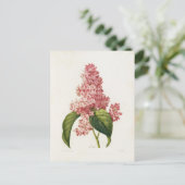 Carte Postale Fleurs 16 ポストカード (スタンド正面)