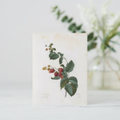 Carte Postale Fleurs 17 ポストカード (スタンド正面)