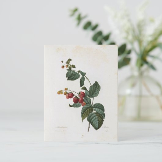 Carte Postale Fleurs 17 ポストカード (スタンド正面)