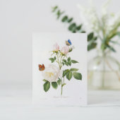 Carte Postale Fleurs 18 ポストカード (スタンド正面)