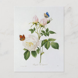 Carte Postale Fleurs 18 ポストカード