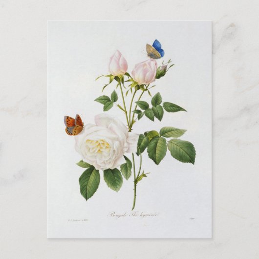 Carte Postale Fleurs 18 ポストカード (正面)