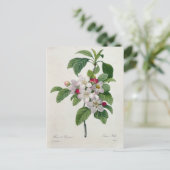 Carte Postale Fleurs 19 ポストカード (スタンド正面)