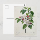 Carte Postale Fleurs 19 ポストカード (正面/裏面)