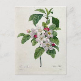 Carte Postale Fleurs 19 ポストカード