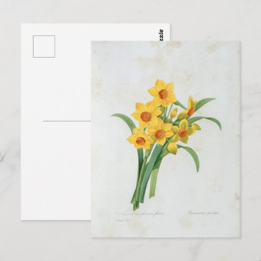 Carte Postale Fleurs 5 ポストカード (正面/裏面)