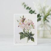 Carte Postale Fleurs 6 ポストカード (スタンド正面)