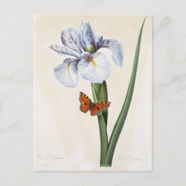 Carte Postale Fleurs 8 ポストカード