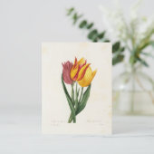 Carte Postale Fleurs 9 ポストカード (スタンド正面)