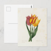 Carte Postale Fleurs 9 ポストカード (正面/裏面)