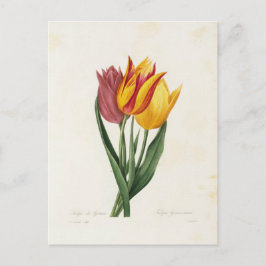 Carte Postale Fleurs 9 ポストカード
