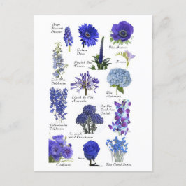 Carte Postale Fleurs bleu ポストカード