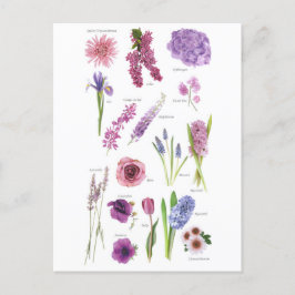 Carte Postale Fleurs bleu violet ポストカード