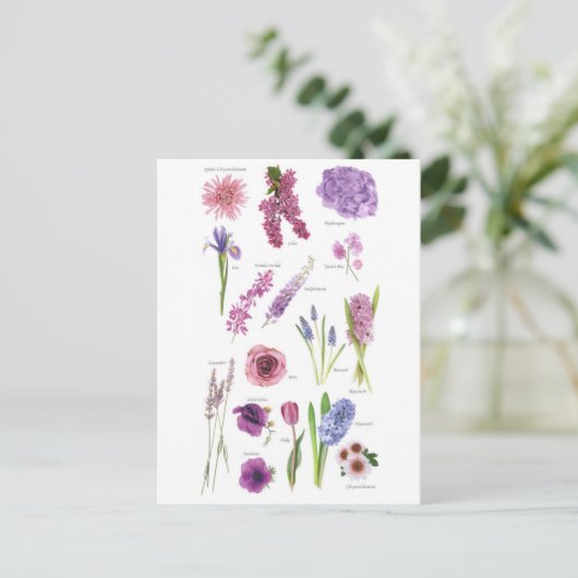 Carte Postale Fleurs bleu violet ポストカード (スタンド正面)