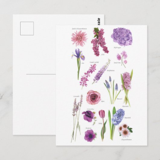 Carte Postale Fleurs bleu violet ポストカード (正面/裏面)
