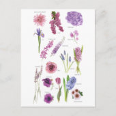 Carte Postale Fleurs bleu violet ポストカード (正面)