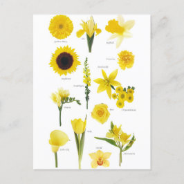 Carte Postale Fleurs jaune ポストカード