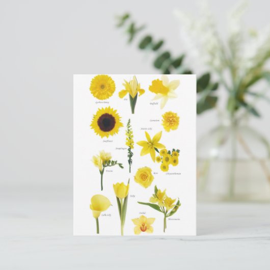 Carte Postale Fleurs jaune ポストカード (スタンド正面)