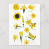 Carte Postale Fleurs jaune ポストカード (正面)