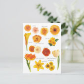 Carte Postale Fleurs orange ポストカード (スタンド正面)