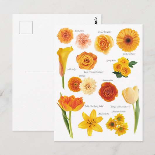 Carte Postale Fleurs orange ポストカード (正面/裏面)