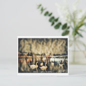 Carte Postale France - Lyon - Le Rhône ポストカード (スタンド正面)