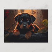 Carte postale Fulfilled Pups ポストカード (正面)