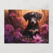 Carte postale Gentle Furball ポストカード (正面)