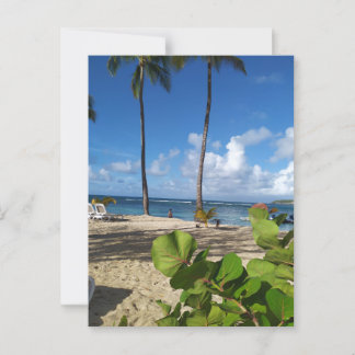 Carte postale Guadeloupe ポストカード