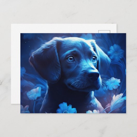 Carte Postale lumière bleue ポストカード (正面/裏面)