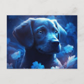 Carte Postale lumière bleue ポストカード (正面)