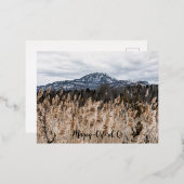 Carte postale Magog-Orford, Qc 箔シーズンポストカード (正面/裏面)