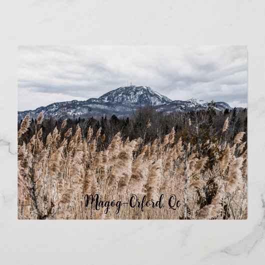 Carte postale Magog-Orford, Qc 箔シーズンポストカード (正面)