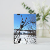 Carte postale paysage Baies d'hiver  ポストカード (スタンド正面)