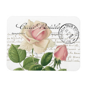 Carte Postale Pink Roseスクリプフランスのトヴィンテージ マグネット