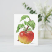 Carte postale " Pomme Jeanne Hardy " ポストカード (スタンド正面)