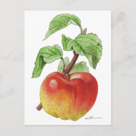 Carte postale " Pomme Jeanne Hardy " ポストカード
